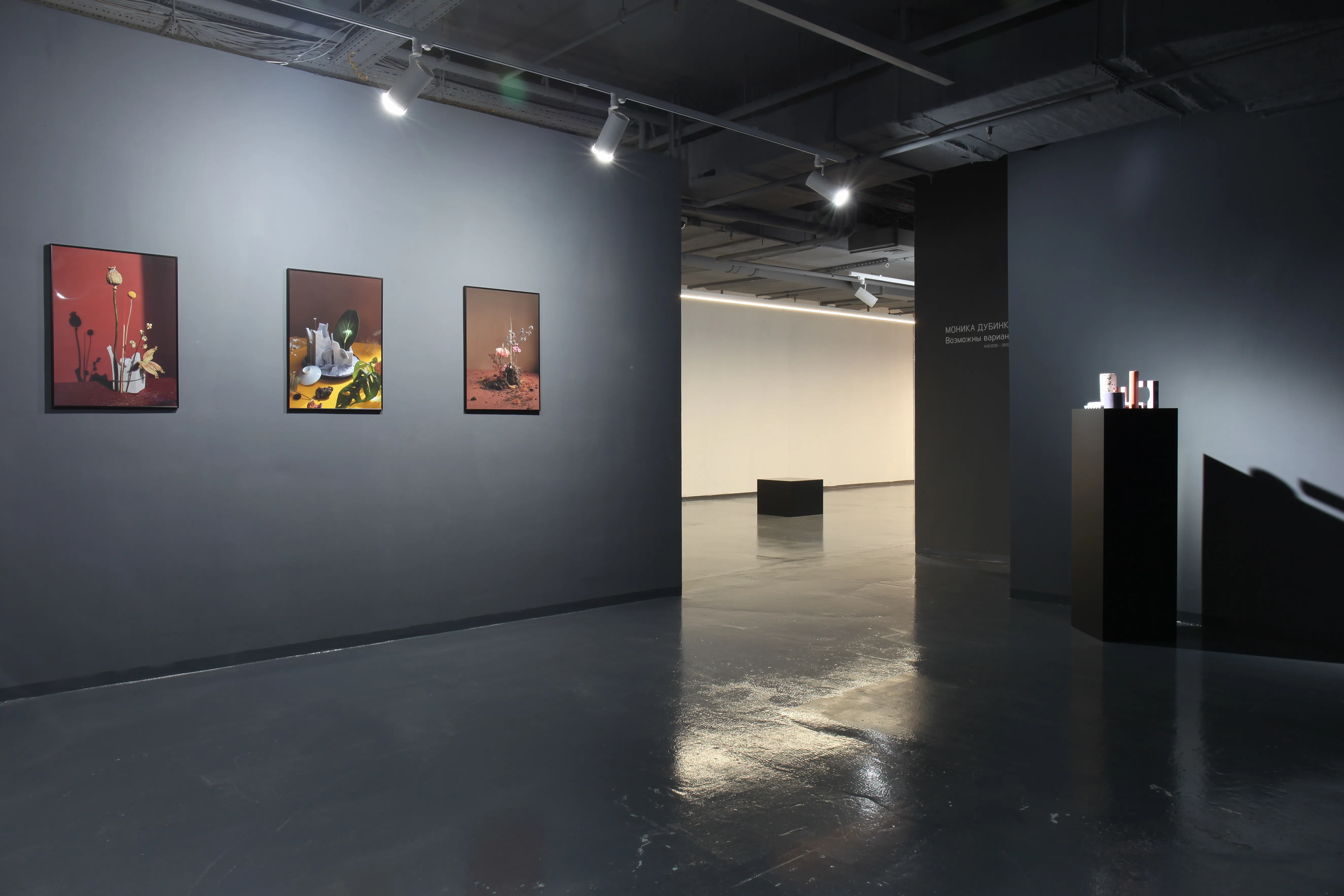 reka gallery