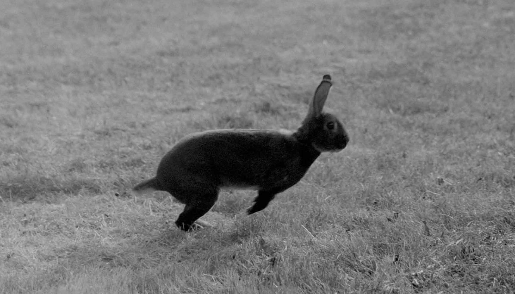 TEO by Cosmoscow X Raymond Weil - выставка ТЕO by Cosmoscow