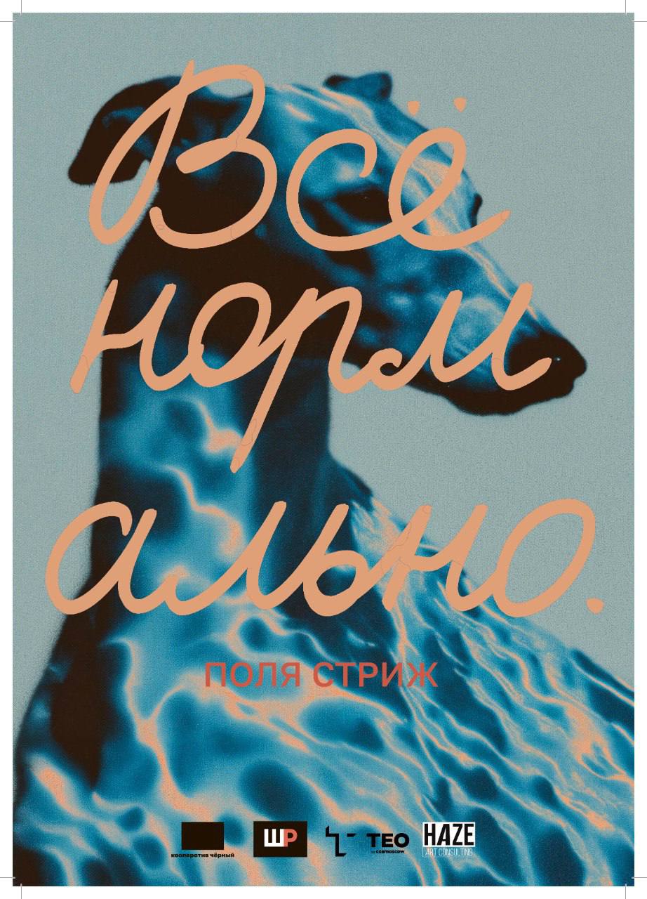 Персональный проект Поли Стриж «Все нормально» - выставка ТЕO by Cosmoscow