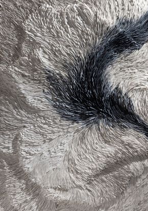 Пепельный свет