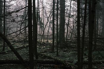 Из серии "The liminal space"