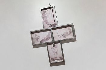 Без названия