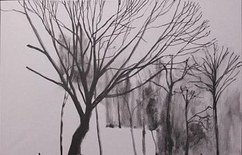 Из серии «Вычитание домов из деревьев»