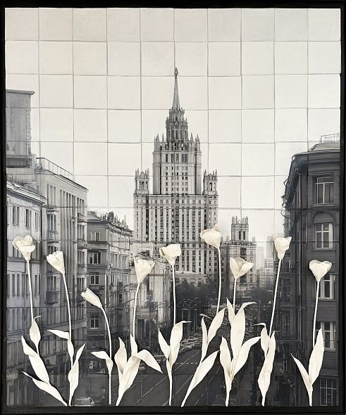 TEO Section × Анна Бёрч