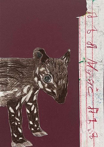 A wild journey through music