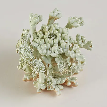 Серия Thickets: "Cyano"