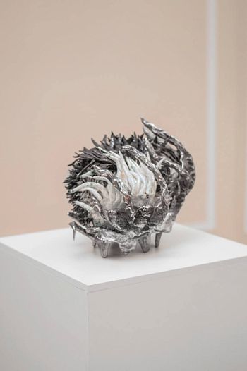 Found object in dead kingdom