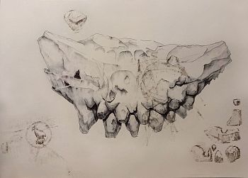 Гур-куумы. Из серии «Бестиарий. Сборник»