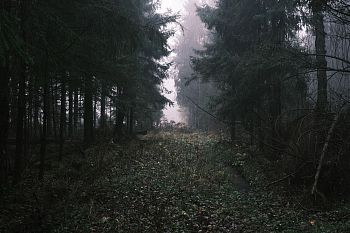 Из серии "The liminal space"