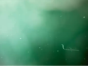 UB12. The Urban Rainbow