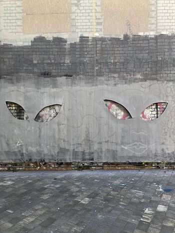 Из серии «‎Вырезанные глаза»‎