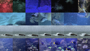 Fragments 07. Из серии «Fragments». Проект «Memory/oversaturated»