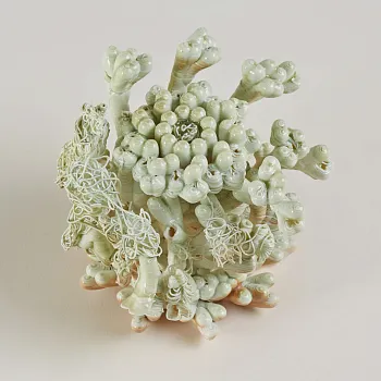 Серия Thickets: "Cyano"