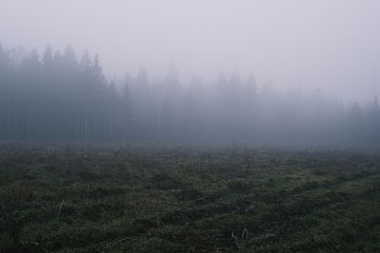 Из серии "The liminal space"