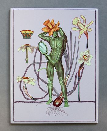 Нарцисс. Из серии «Вести из ниоткуда»