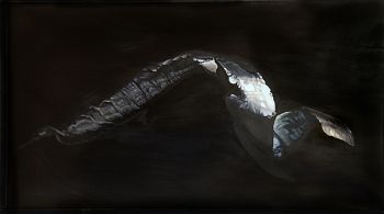 Серия "Перья"