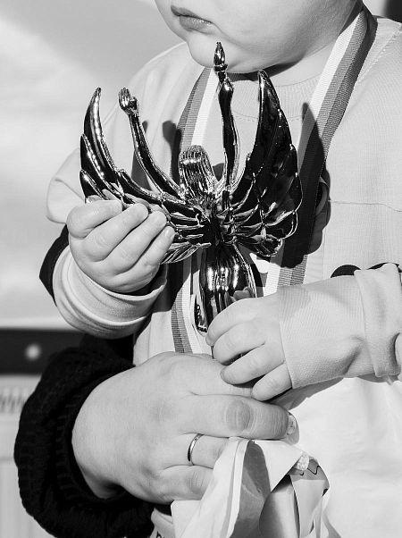 Prize II. Из серии «Melting Armour»