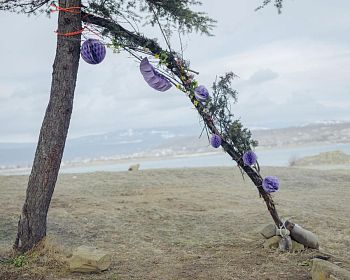 Wedding. Из серии «Люты»