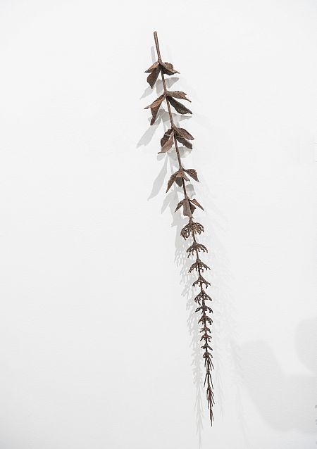 Из серии «Зимний гербарий»