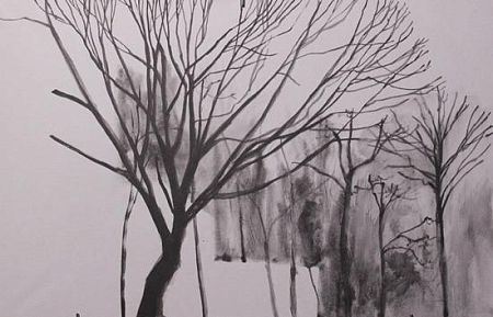 Из серии «Вычитание домов из деревьев»