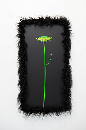 Венерина мухоловка