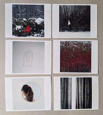 Без названия