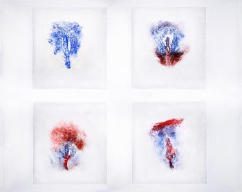 Женский Цикл