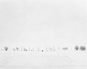 Всадник в персиковом саду