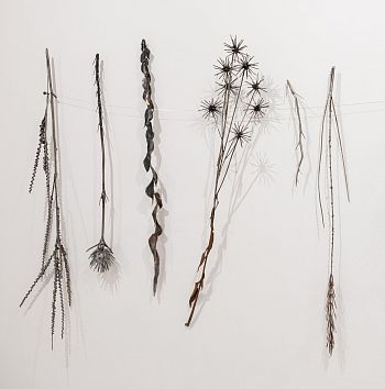 Из серии «Зимний гербарий»