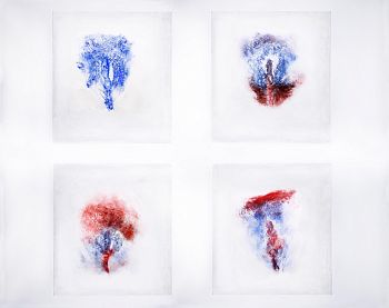 Женский Цикл