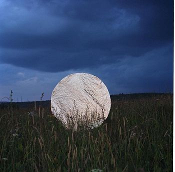 Без названия