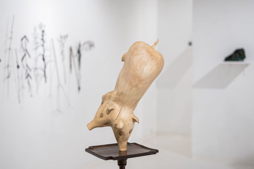 Персональная выставка Дмитрия Булныгина «Пока замерзло озеро»