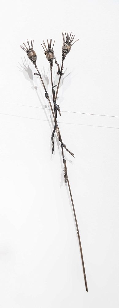 Из серии «Зимний гербарий»