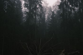 Из серии "The liminal space"