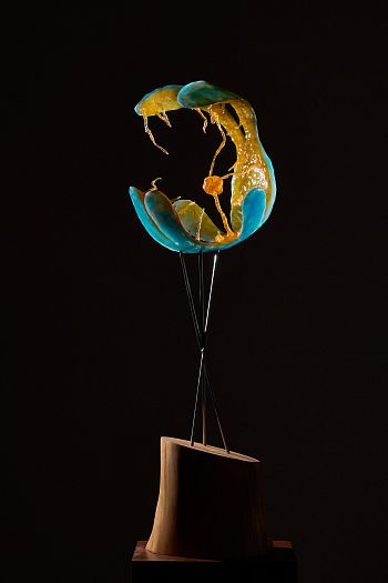 Проект планетарной туманности CAPOS(PN) 0001 в созвездии Волопас