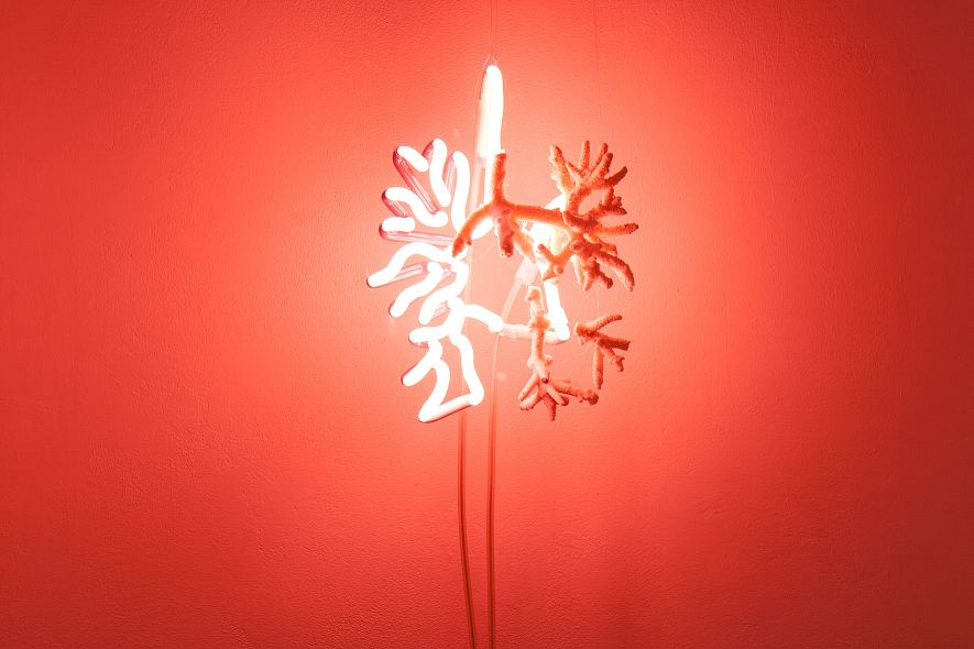 Взгляд с экрана