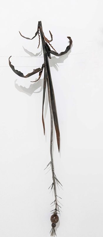 Из серии «Зимний гербарий»