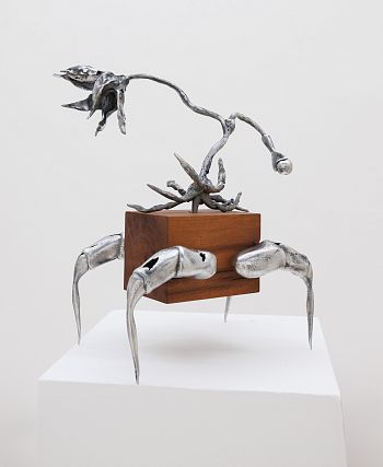 Wood Body Bug #3 из серии «Паранормальные явления»