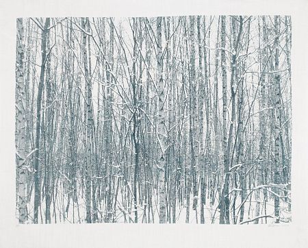 Зима. Из серии «Времена года»