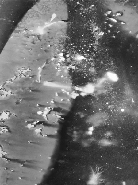 Соленая Луна кудряво трубит в рукавах