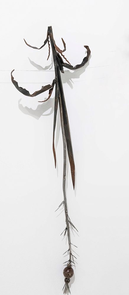 Из серии «Зимний гербарий»