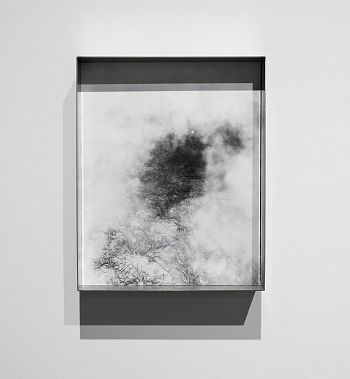 Pale shelter. Из серии «Pale Shelters»