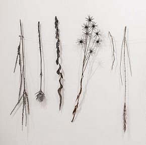 Из серии «Зимний гербарий»