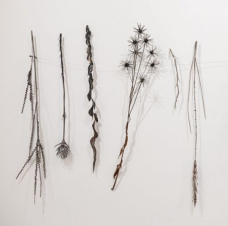 Из серии «Зимний гербарий»