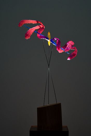 Проект планетарной туманности CAPOS(PN)_0008 в созвездии Кита