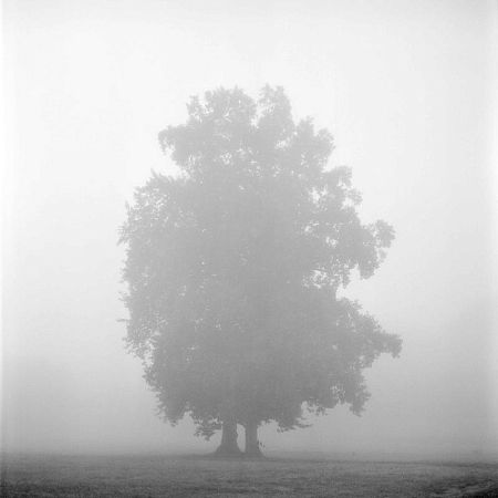 Из серии «The Castle»