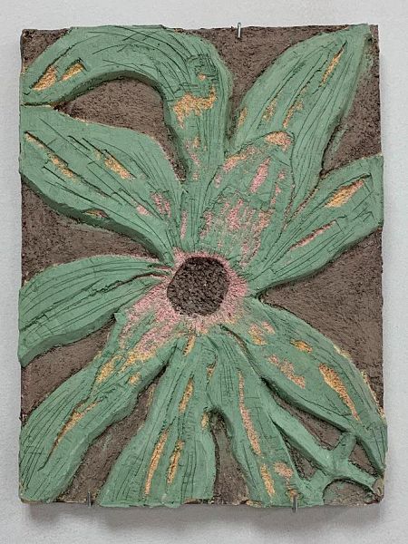 Встреченные растения