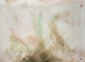 Sublime landscapes / Гибридные ландшафты