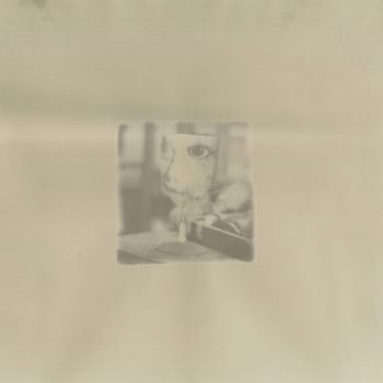 Без названия