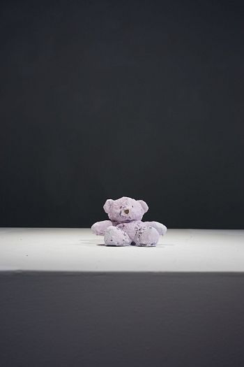 Teddy №47